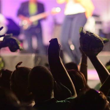 Music and Entertainment