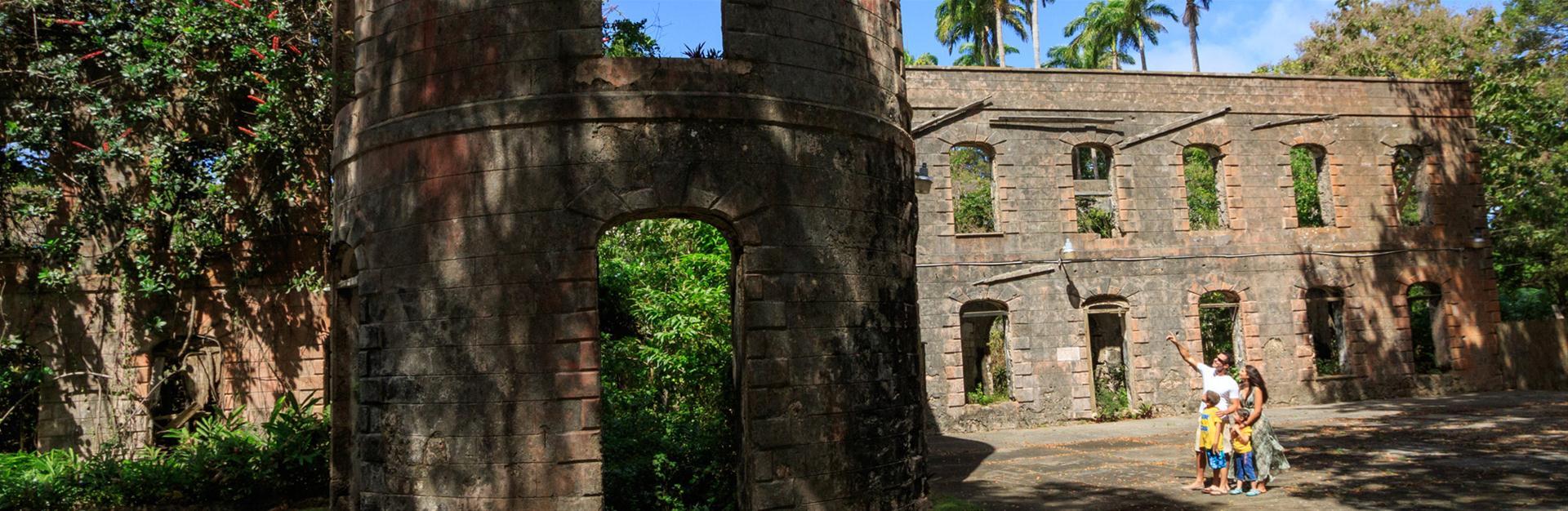 Farley Hill National Park Barbados Scenic & Picnic Spot