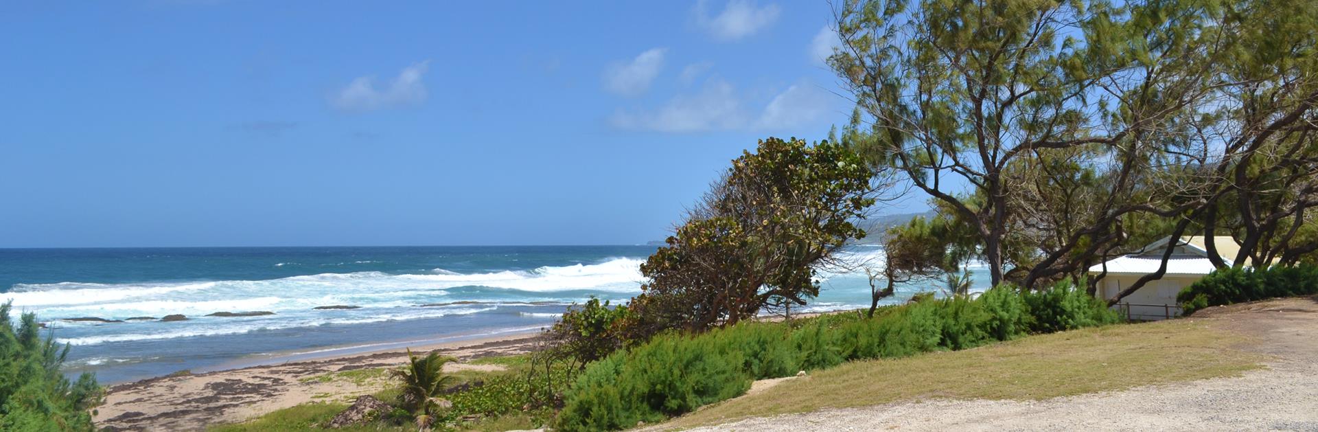 Explore Barclays Park Visit Barbados