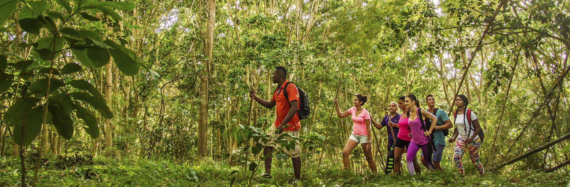 Explore Coco Hill Forest Visit Barbados