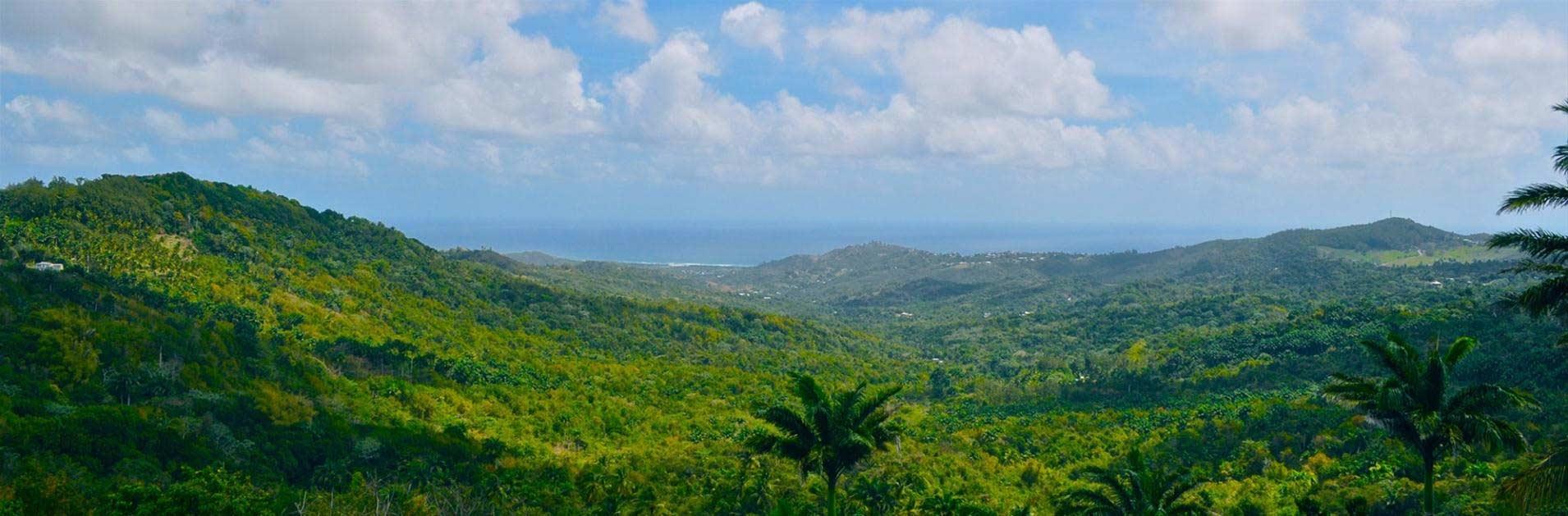 Highland Barbados Island's Heavenly & Scenic Viewpoint