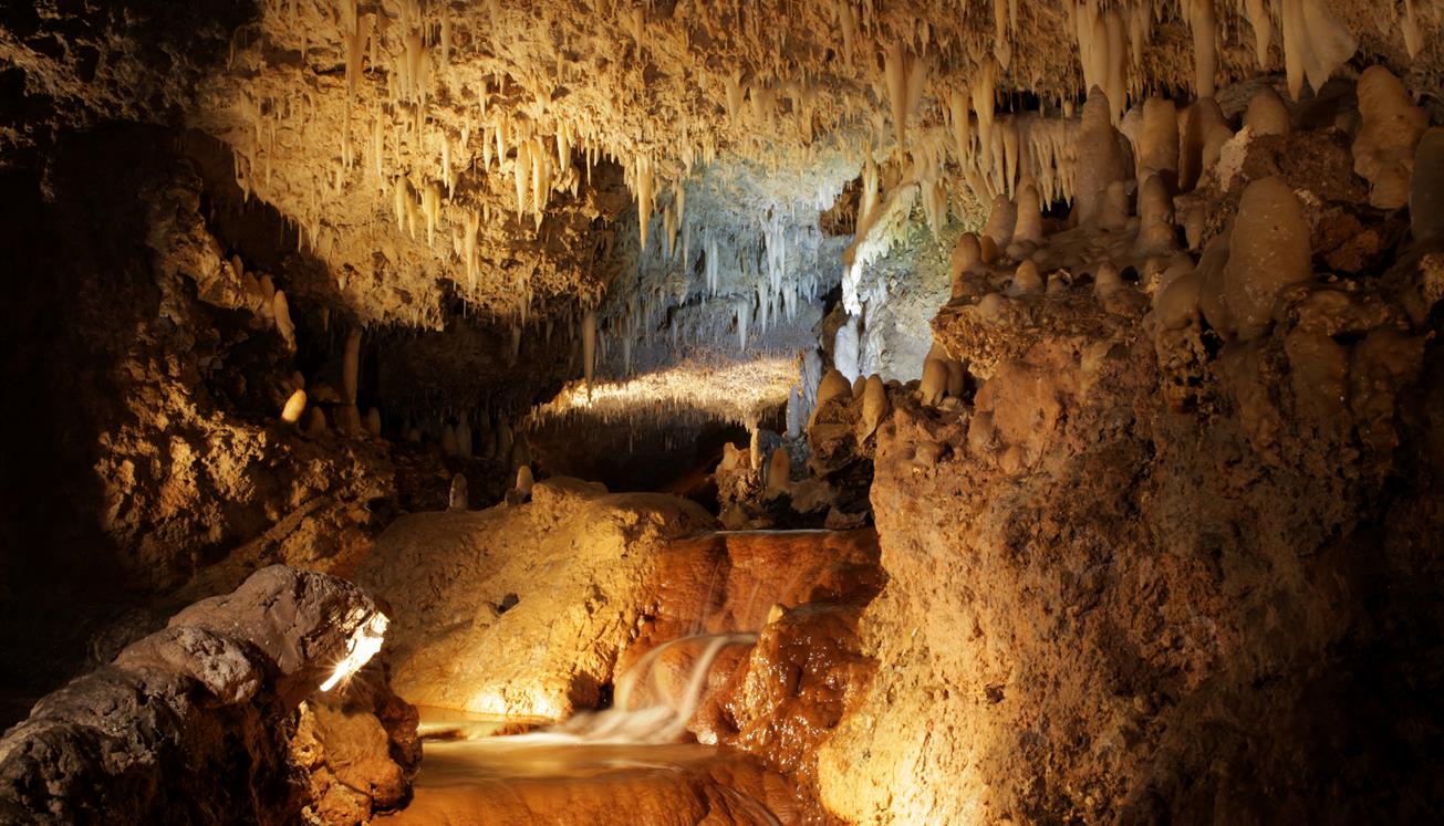Harrison's Cave Barbados Opening Times, Address, Tour Info