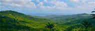 Hochland - Die beste Aussicht auf Barbados