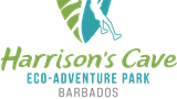 Parque de aventuras ecológicas Harrison's Cave