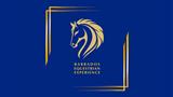 Barbados Equestrian Experience by Visionary Ventures Inc.