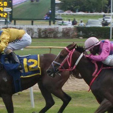 The Garrison Savannah