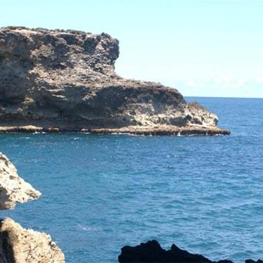 Grotte aux fleurs des animaux