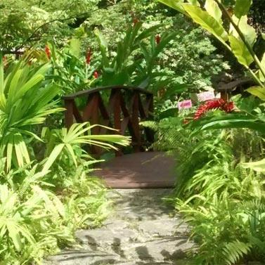 What Visa Entry Requirements Do You Need To Visit Barbados