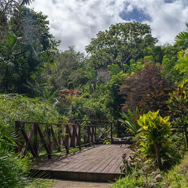 Andromeda Botanic Gardens