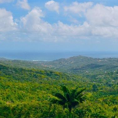 Highland – The Best View In Barbados