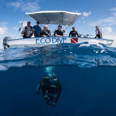 Eco Dive Barbados