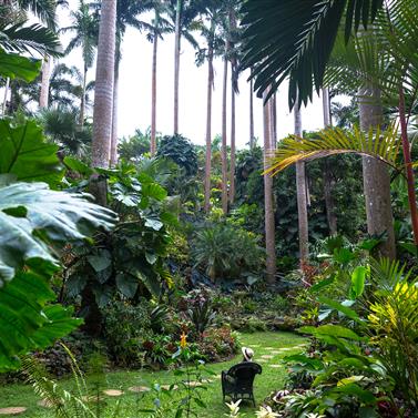 Jardines de Hunte