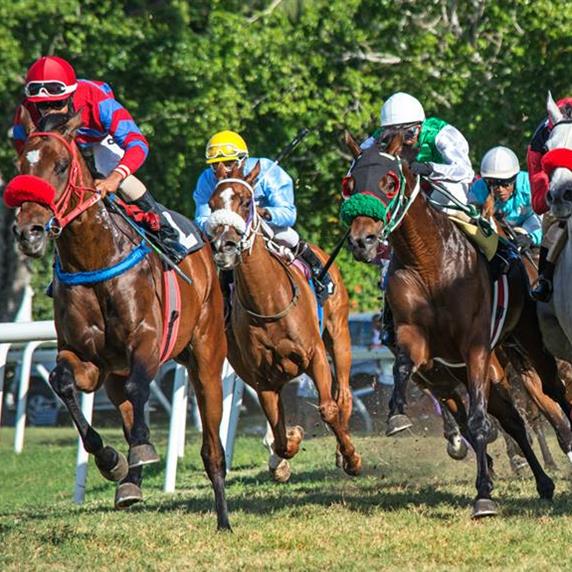 https://www.visitbarbados.org/sysimages/ambassador/resized/horseracing3byfranzphillips_rsz_13052021140008271.jpg