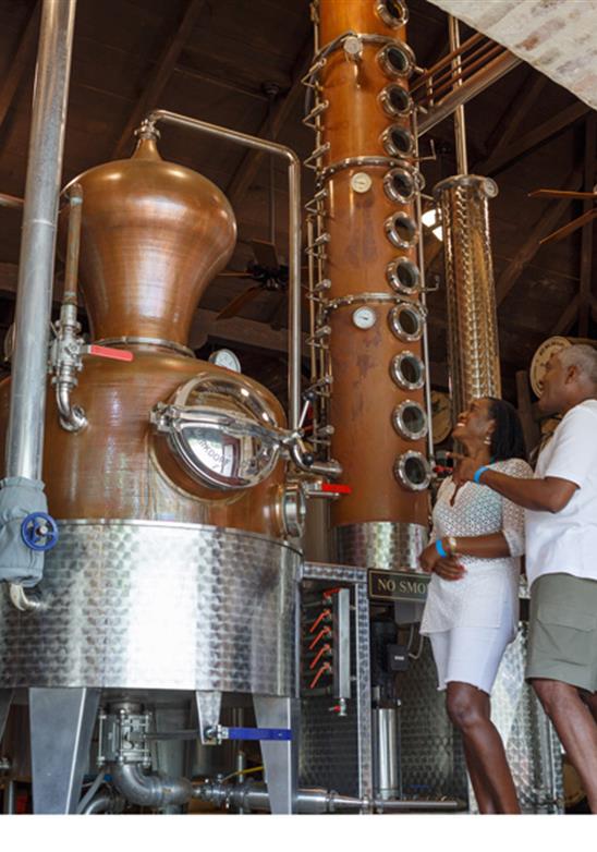 Learn the History of the World’s Oldest Rum