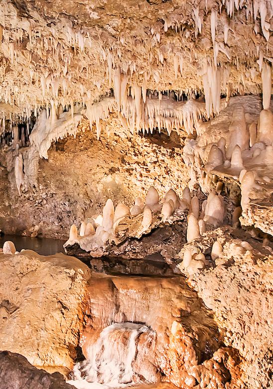 Barbados - Un paradiso in pietra corallina