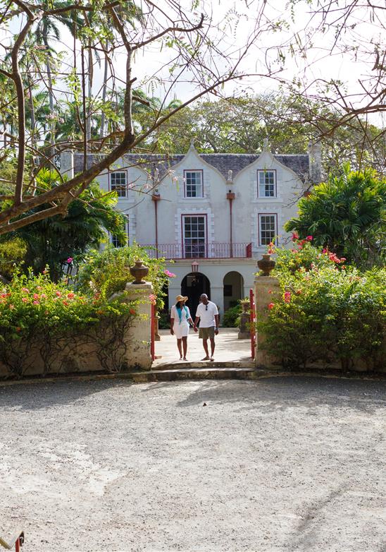 A história do rum começa em Barbados - o berço do rum