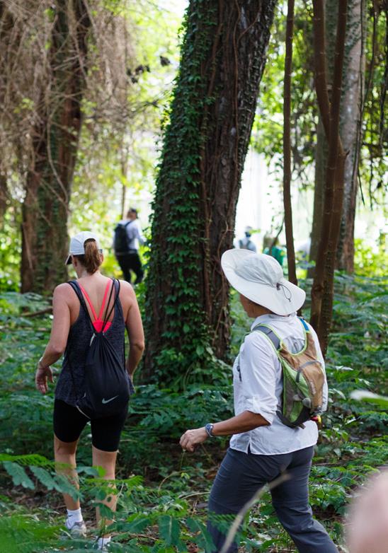 Gehen wir wandern