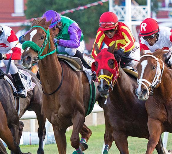 Barbados Pferderennen - Der Sport der Könige im Paradies von Charlie Heath