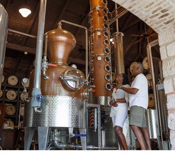 Aprenda a história do rum mais antigo do mundo