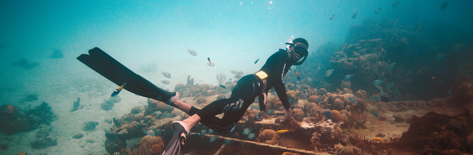 Explore Diving 20 Reasons To Dive In Barbados Visit Barbados