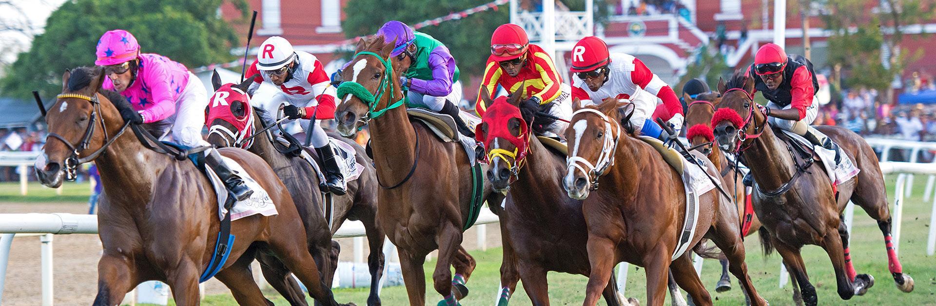 Sandy Lane Barbados Gold Cup 2024 The Biggest Sporting Event