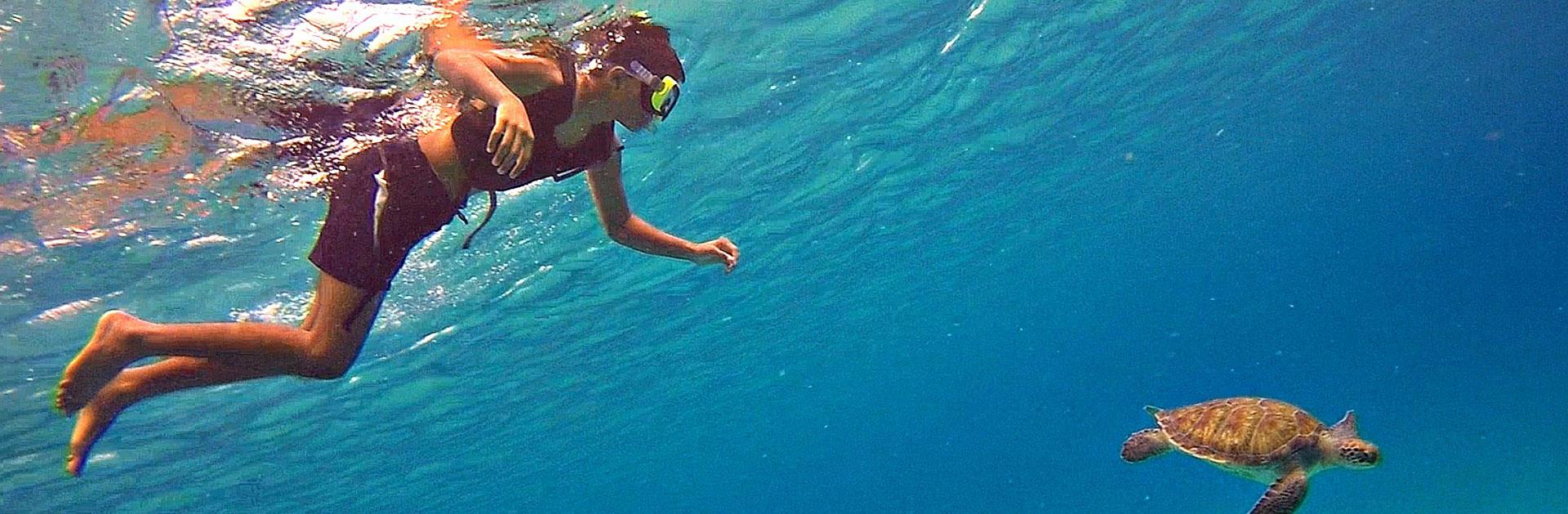 Dive Fest Barbados 2020 Dive, Swim & Soak Up the Sun