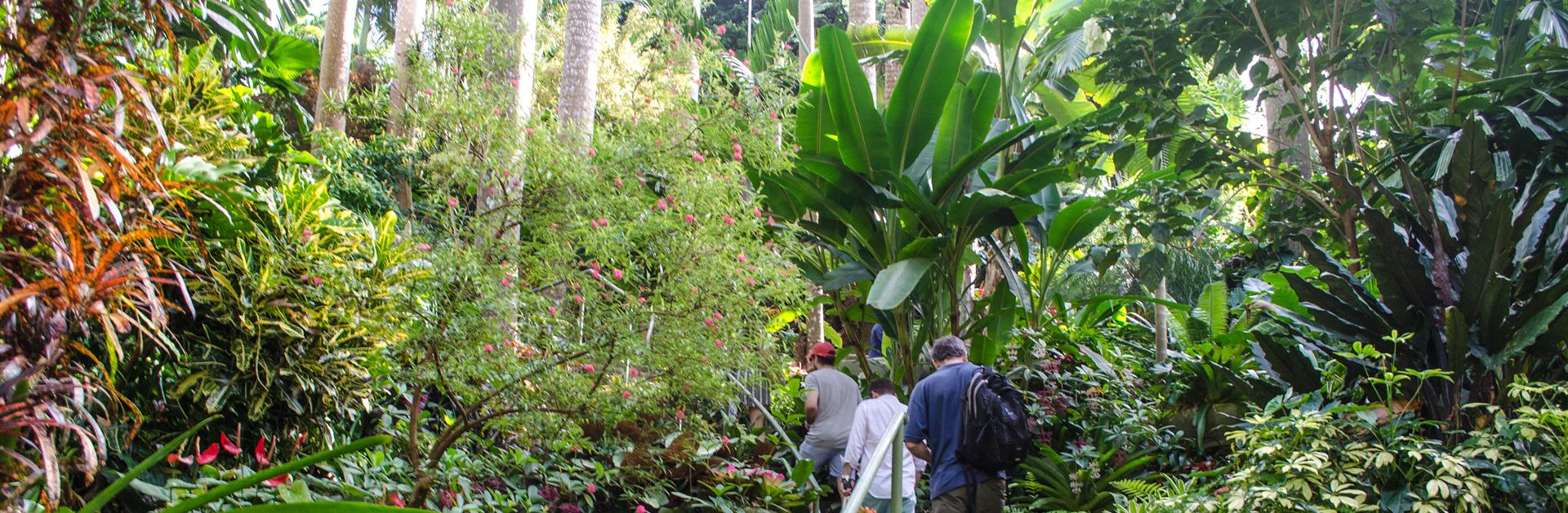 Explore Barbados Horticultural Society Open Gardens The Anchorage