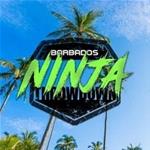 Barbados Ninja Throwdown