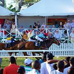 Coupe d'or de la Barbade Sandy Lane