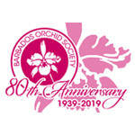 Showbds d'orchidées du 80e anniversaire