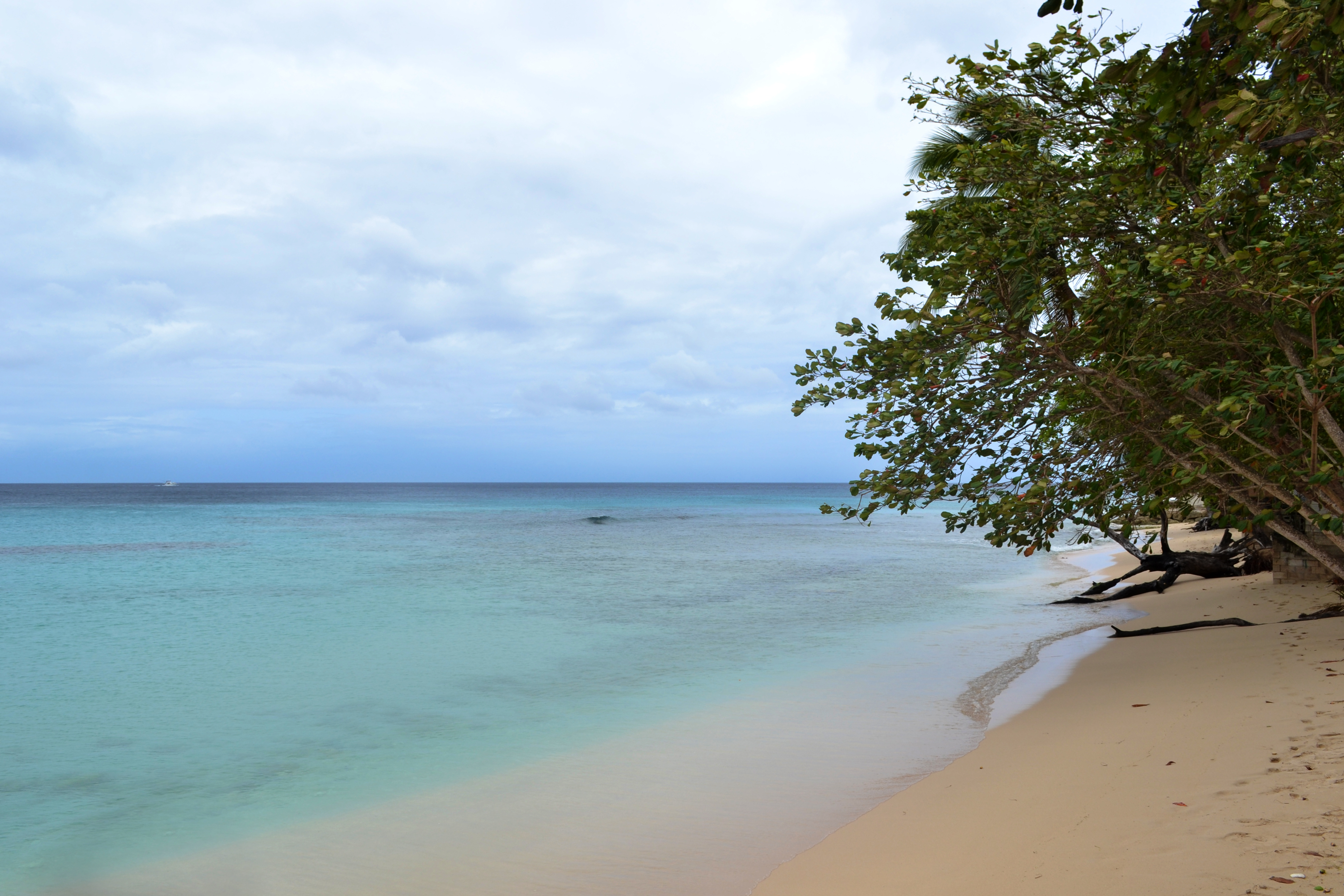 Gibbs Beach