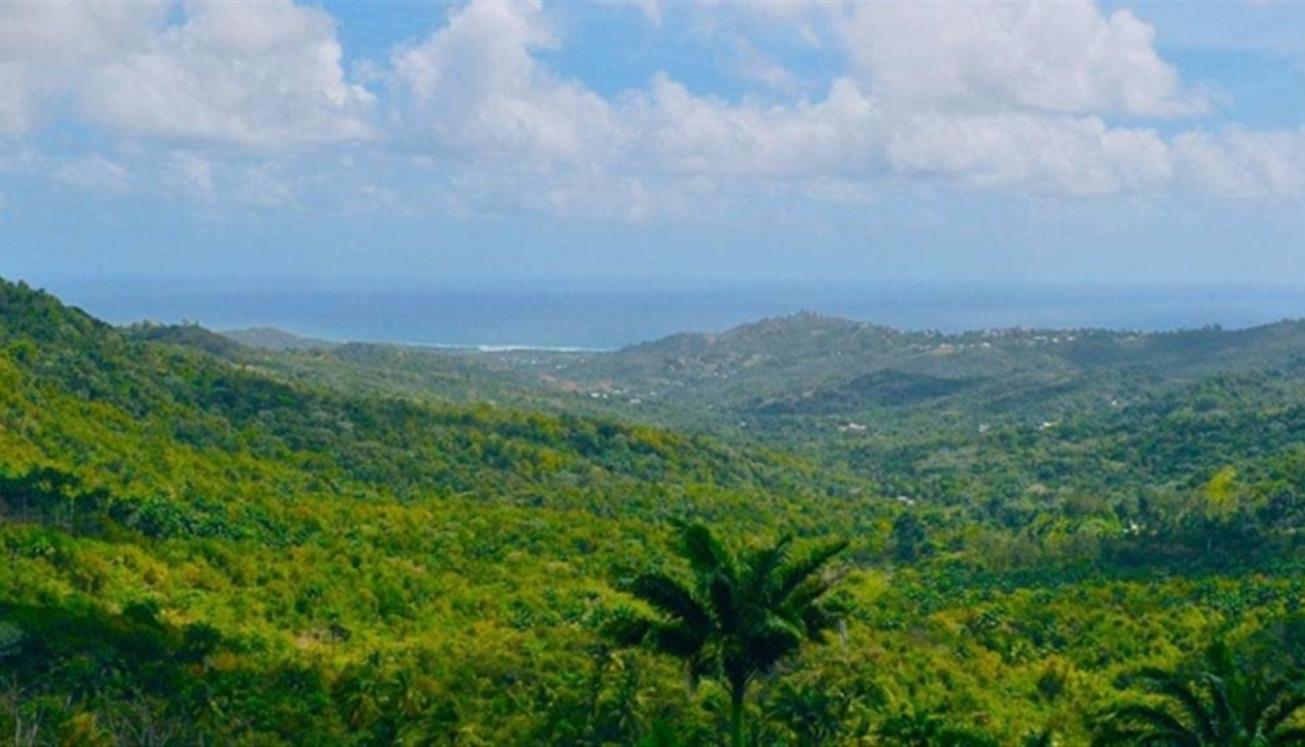 Visit Barbados Home to the most wonderful parks on earth