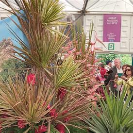 Blumen- und Gartenschau der Barbados Horticultural Society