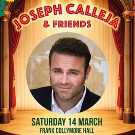 Festival des Allstars