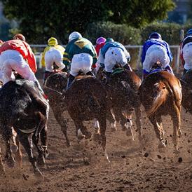 Coupe d'or de la Barbade Sandy Lane