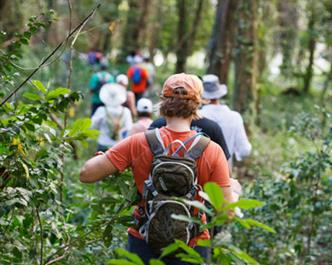 Guides touristiques