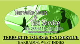 Terrvette Tours & Taxi Service