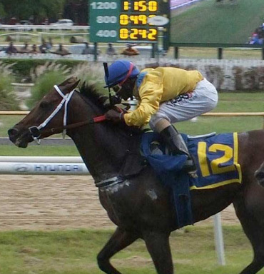 THE GARRISON SAVANNAH