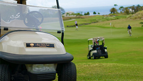 Melhor campo de golfe - Green Monkey Sandy Lane